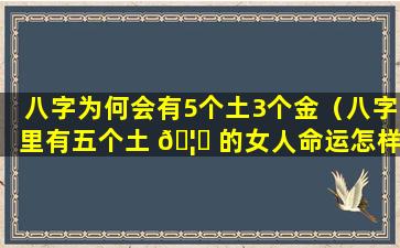 八字为何会有5个土3个金（八字里有五个土 🦁 的女人命运怎样）